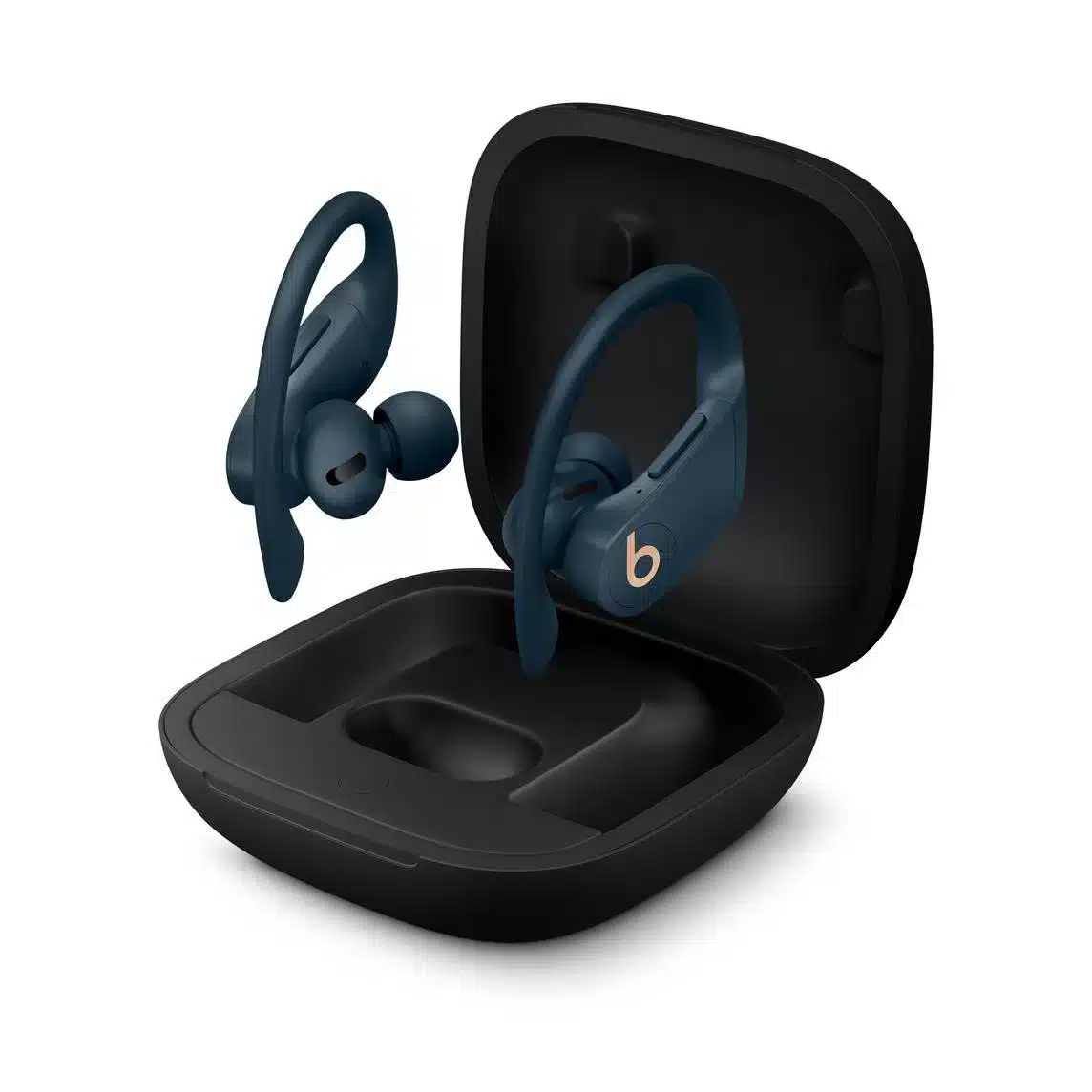 PowerBeats Pro Case