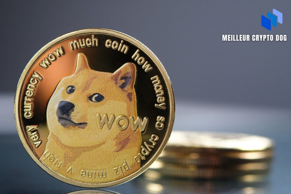 meilleur crypto dog