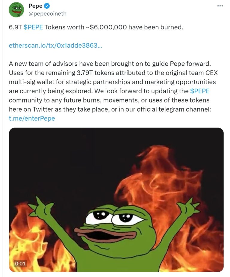 pepe coins burn 