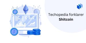 Techopedia forklarer Shitcoins