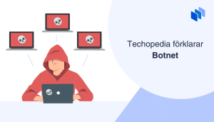 Person i röd huva vid en dator, omgiven av skärmar med dödskalleikoner med texten Techopedia förklarar Botnet.
