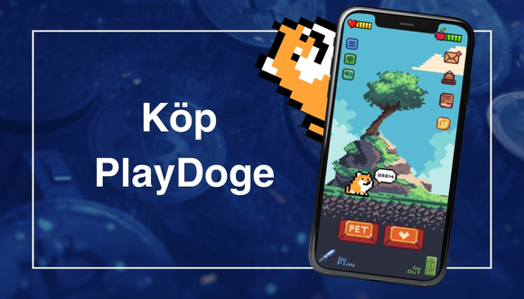 Logo för artikel om att köpa PlayDoge.