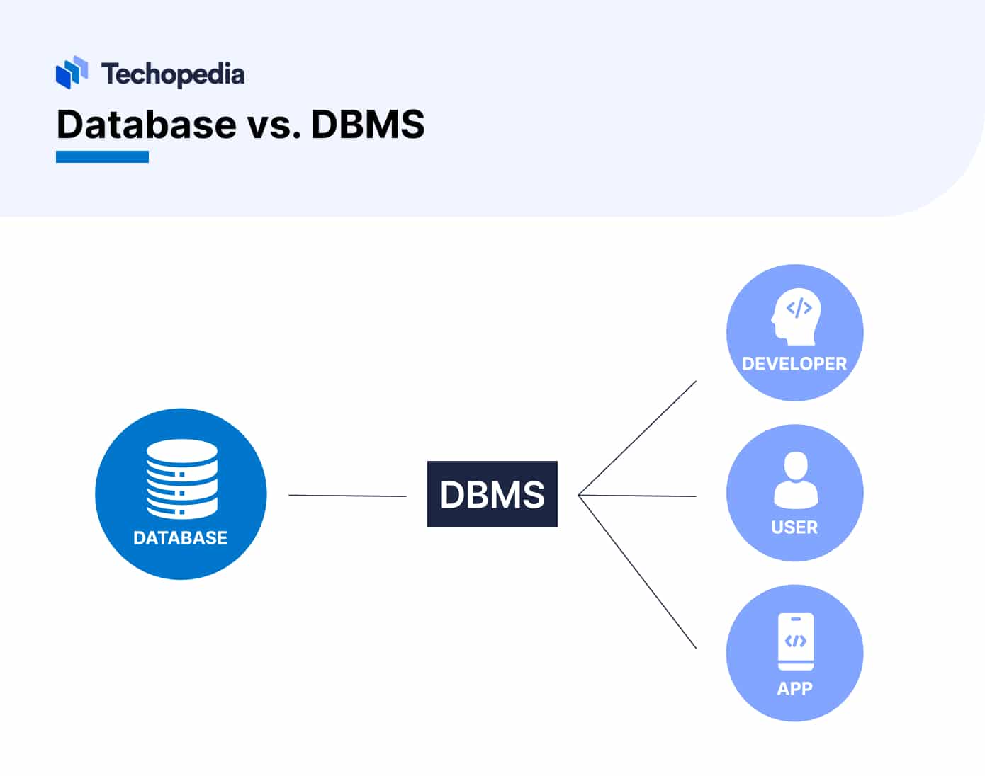 What is a DBMS? Uses, Types, Components, Examples & History