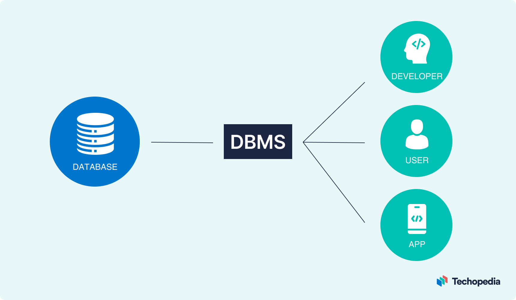 What is a DBMS? Uses, Types, Components, Examples & History