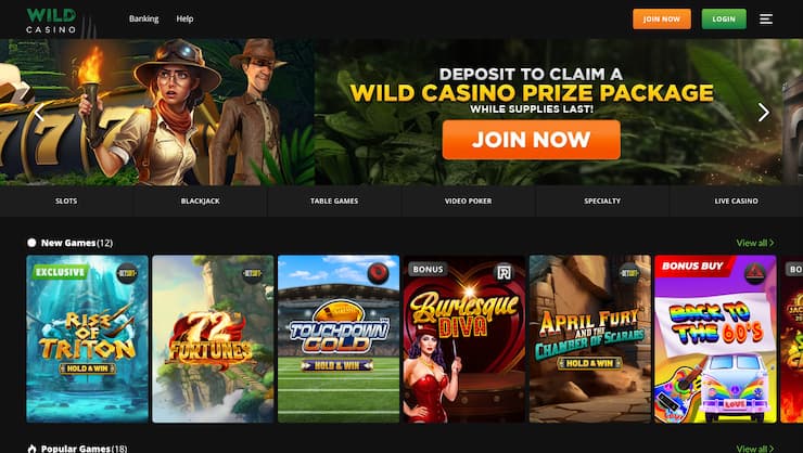 How To Turn online casinos Into Success
