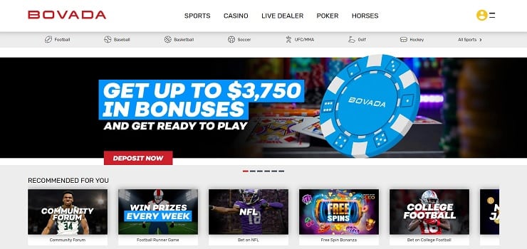 NFL Betting Hub at Bovada Sportsbook