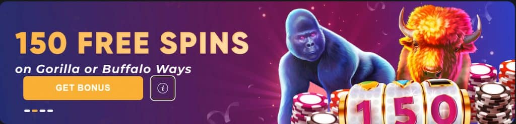 betwhale casino no deposit bonus 2024 usa august