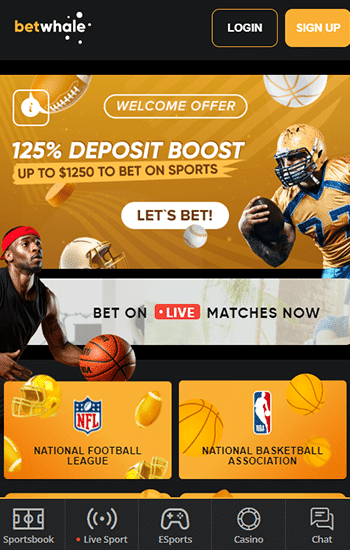 Best Offshore Sportsbooks 2024 - Offshore Sports Betting Guide