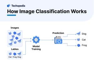 How Image Classification Works