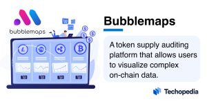 What is Bubblemaps?