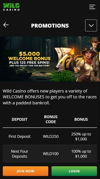 A New Model For The Best Online Casino Platforms for 2024